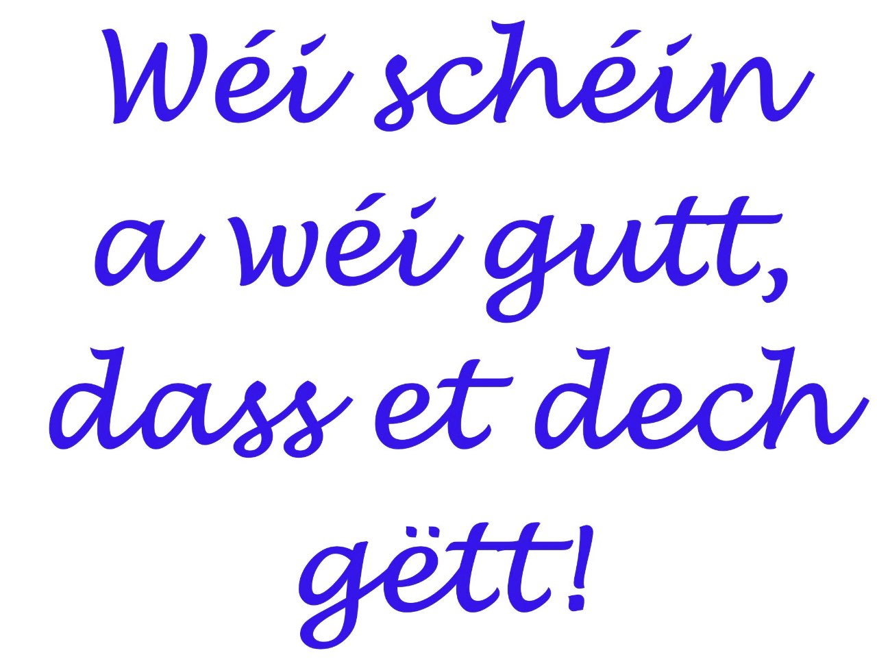schein2.jpg